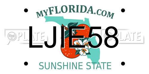 LJIE58 Florida License Plate