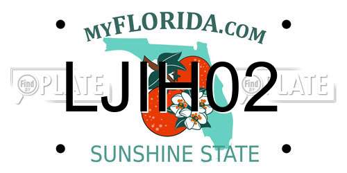 LJIH02 Florida License Plate