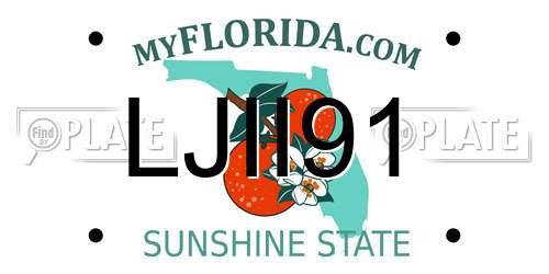 LJII91 Florida License Plate