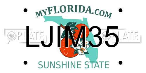 LJIM35 Florida License Plate