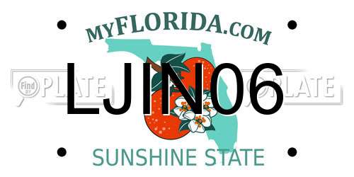 LJIN06 Florida License Plate