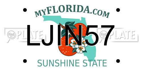 LJIN57 Florida License Plate