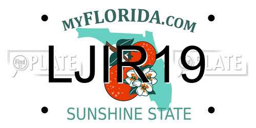 LJIR19 Florida License Plate