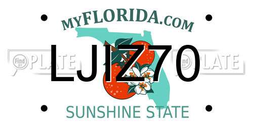 LJIZ70 Florida License Plate