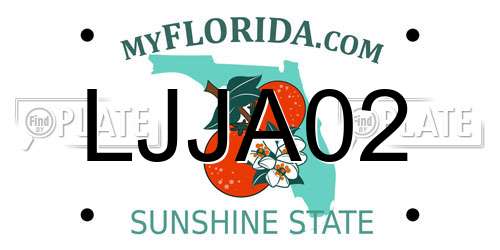 LJJA02 Florida License Plate