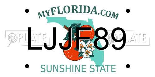 LJJF89 Florida License Plate