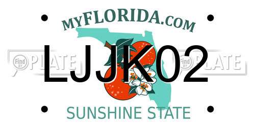 LJJK02 Florida License Plate