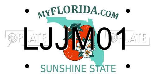 LJJM01 Florida License Plate