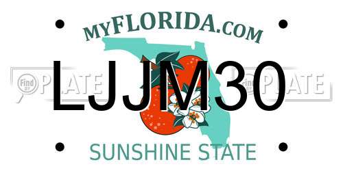 LJJM30 Florida License Plate