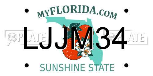 LJJM34 Florida License Plate