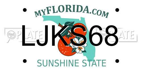 LJKS68 Florida License Plate
