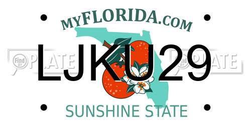 LJKU29 Florida License Plate