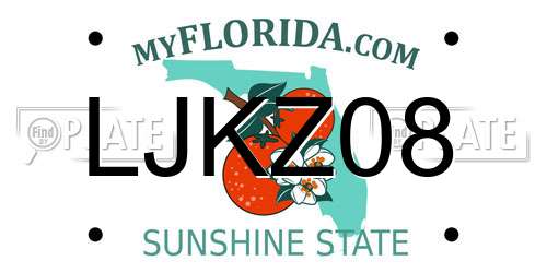 LJKZ08 Florida License Plate