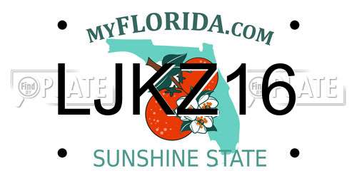LJKZ16 Florida License Plate
