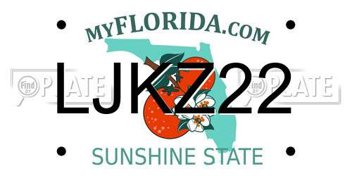 LJKZ22 Florida License Plate