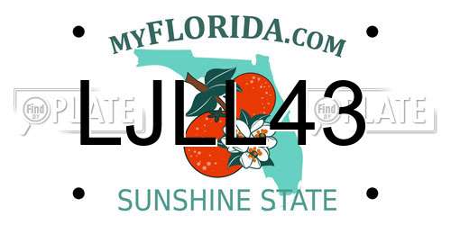LJLL43 Florida License Plate