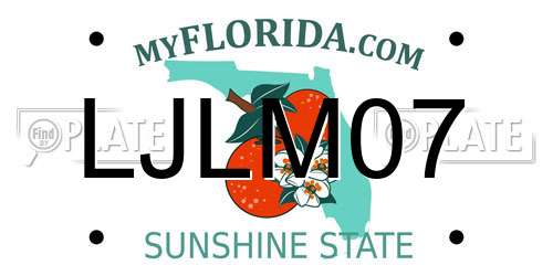 LJLM07 Florida License Plate