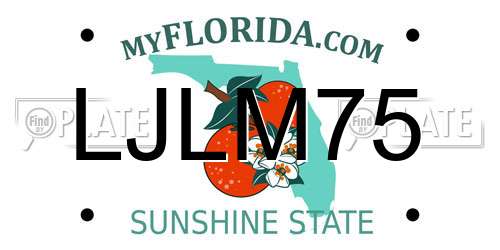 LJLM75 Florida License Plate