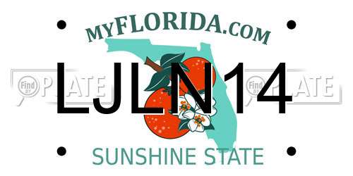 LJLN14 Florida License Plate