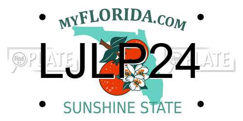 LJLP24 Florida License Plate
