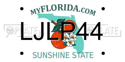 LJLP44 Florida License Plate