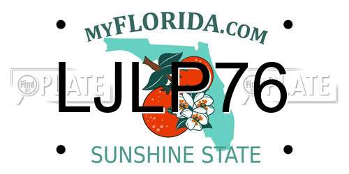 LJLP76 Florida License Plate