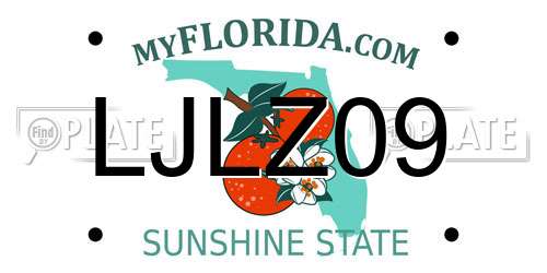 LJLZ09 Florida License Plate