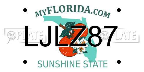 LJLZ87 Florida License Plate