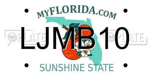 LJMB10 Florida License Plate