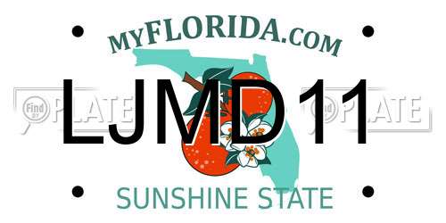 LJMD11 Florida License Plate