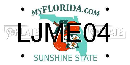 LJME04 Florida License Plate