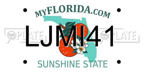 LJMI41 Florida License Plate