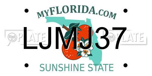 LJMJ37 Florida License Plate