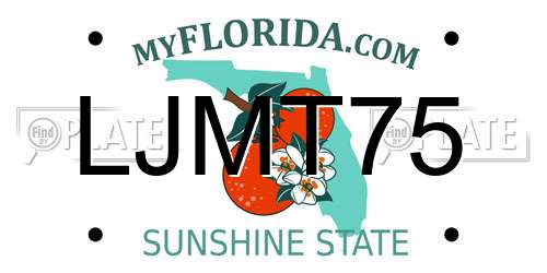 LJMT75 Florida License Plate