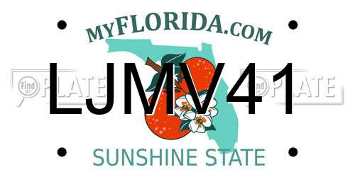 LJMV41 Florida License Plate