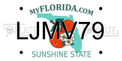 LJMV79 Florida License Plate