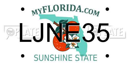 LJNE35 Florida License Plate