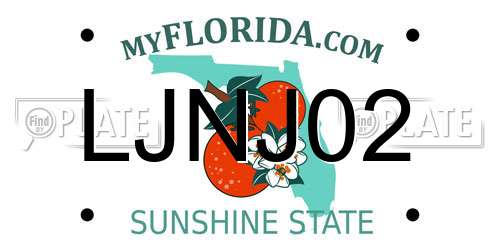 LJNJ02 Florida License Plate