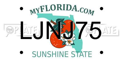LJNJ75 Florida License Plate