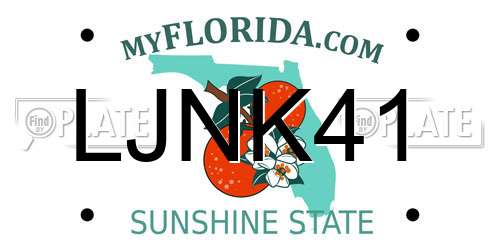 LJNK41 Florida License Plate