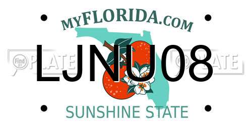 LJNU08 Florida License Plate