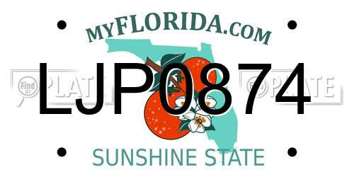 LJP0874 Florida License Plate