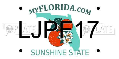 LJPF17 Florida License Plate