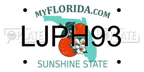 LJPH93 Florida License Plate