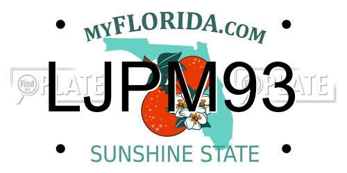 LJPM93 Florida License Plate