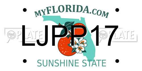 LJPP17 Florida License Plate