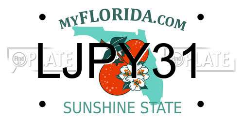 LJPY31 Florida License Plate