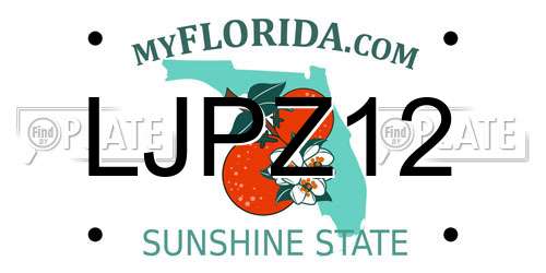 LJPZ12 Florida License Plate