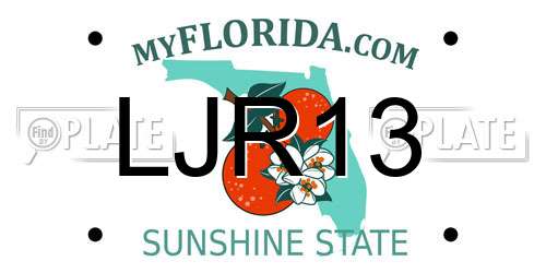 LJR13 Florida License Plate