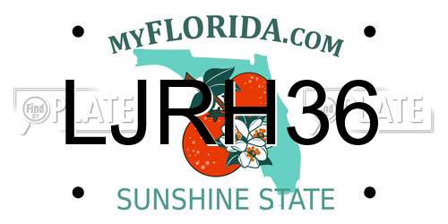 LJRH36 Florida License Plate